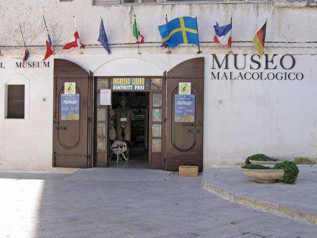 Museu Malacològic - Vieste | Secret World Trip Planner