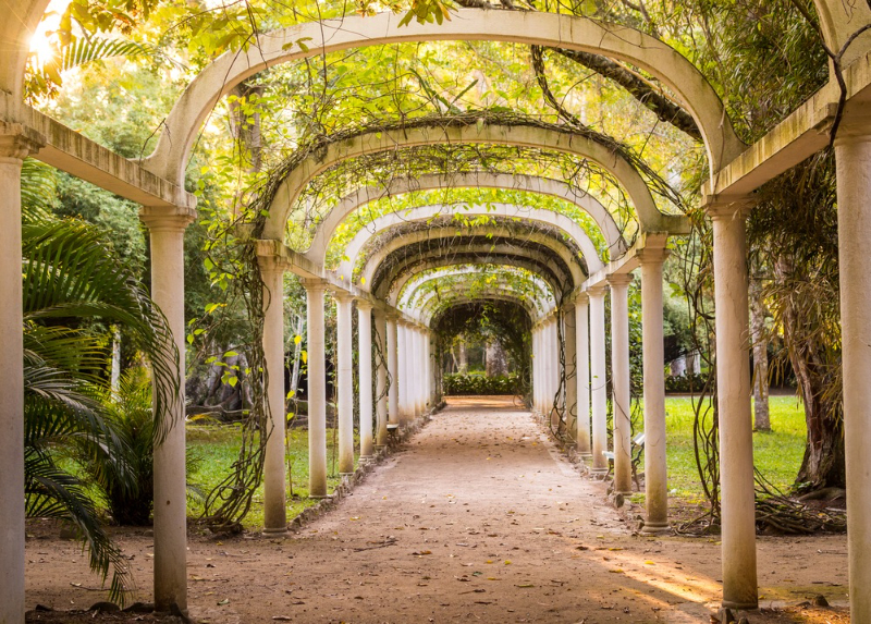 ਬੋਟੈਨੀਕਲ ਗਾਰਡਨ, ਰੀਓ ਡੀ ਜਨੇਰੀਓ - Jardim Botânico | Secret World Trip Planner