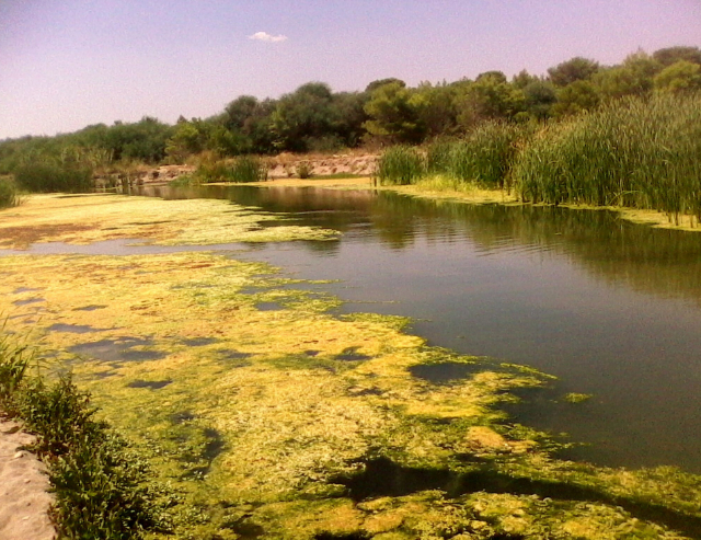 Utforska WWF:s oas Policoro - 1 | Secret World Trip Planner