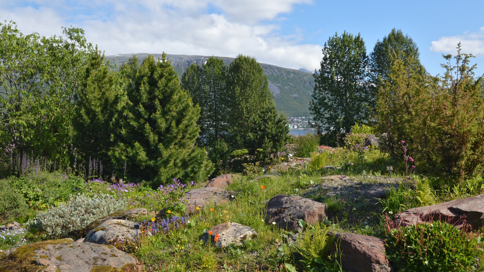 Tromso: Arctic-Alpine Botanical Garden - Stakkevollvegen 200 | Secret World Trip Planner