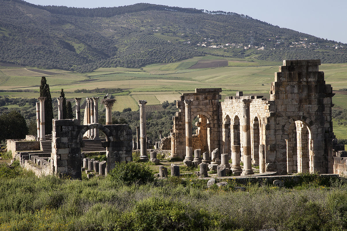 Arkeologiska platsen för Volubilis - Meknes | Secret World Trip Planner