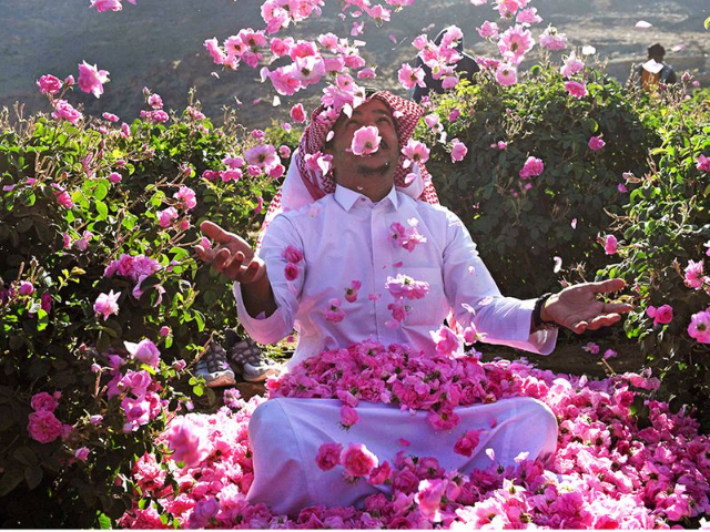 I campi di rose di Taif - Taif | Secret World Trip Planner