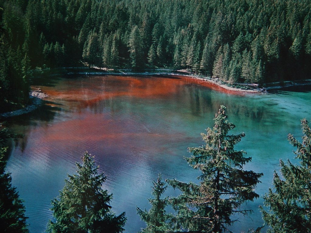 Lago Tovel - Lago di Tovel | Secret World Trip Planner