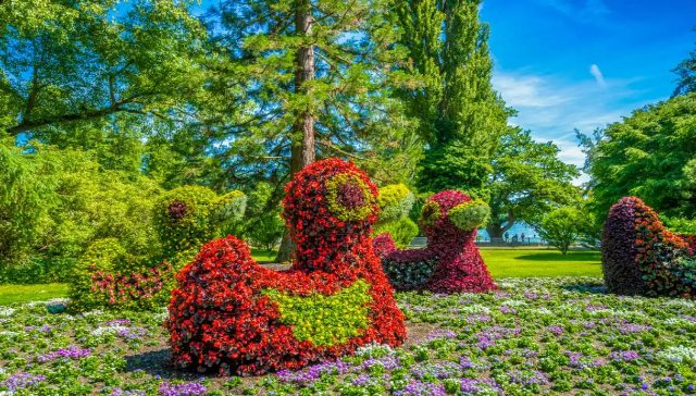 Mainau, oileán na bláthanna - Costanza | Secret World Trip Planner