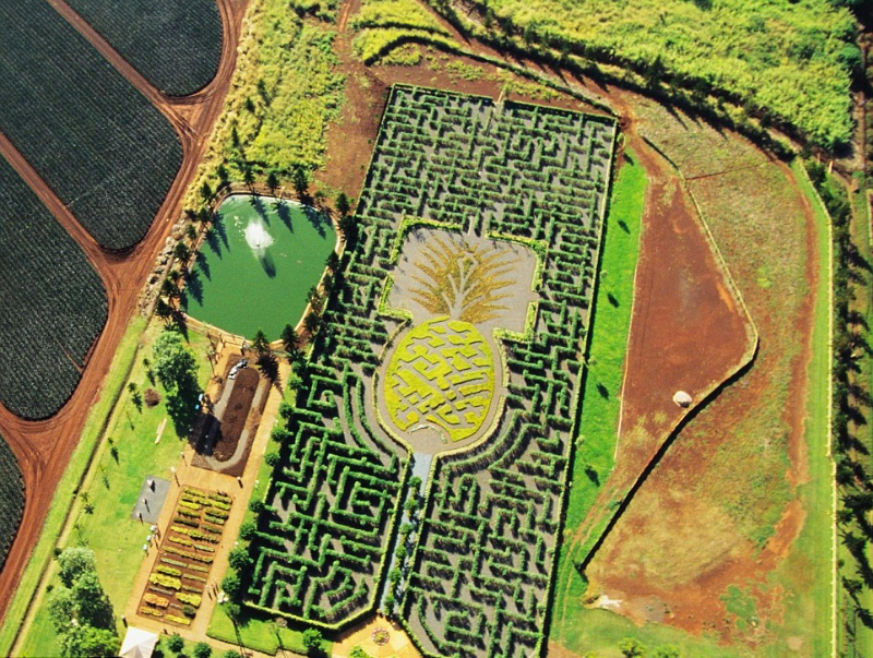 Mê cung đồn điền Dole, Hawaii - Wahiawa | Secret World Trip Planner