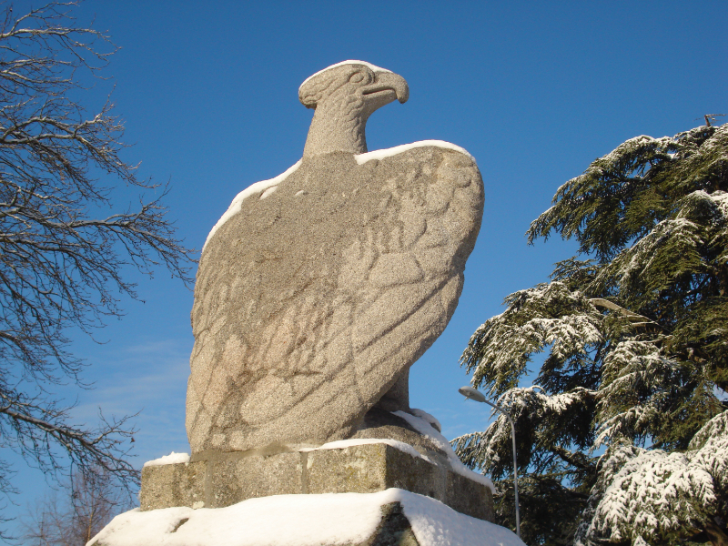 Elang Romawi - Ussel | Secret World Trip Planner