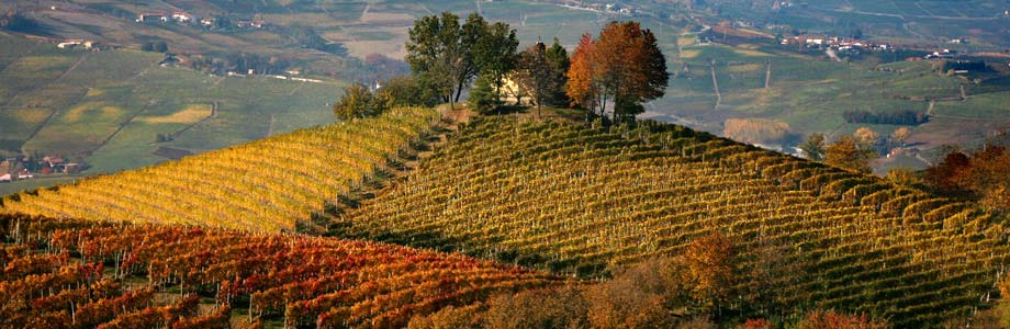 ಬರೋಲೋ ಮತ್ತು ಅದರ ವೈನ್ - Barolo | Secret World Trip Planner