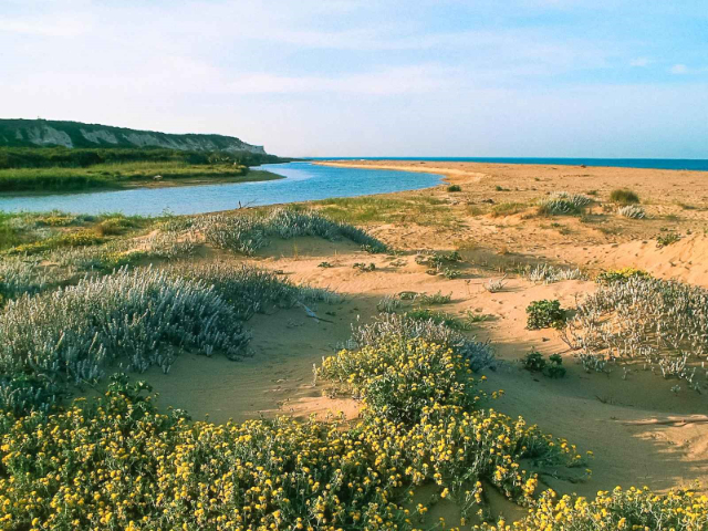Friðlandið „Foce del Fiume Platani“ - Ribera | Secret World Trip Planner