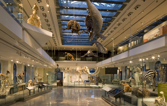 The Cleveland Museum of Natural History - Cleveland | Secret World Trip Planner