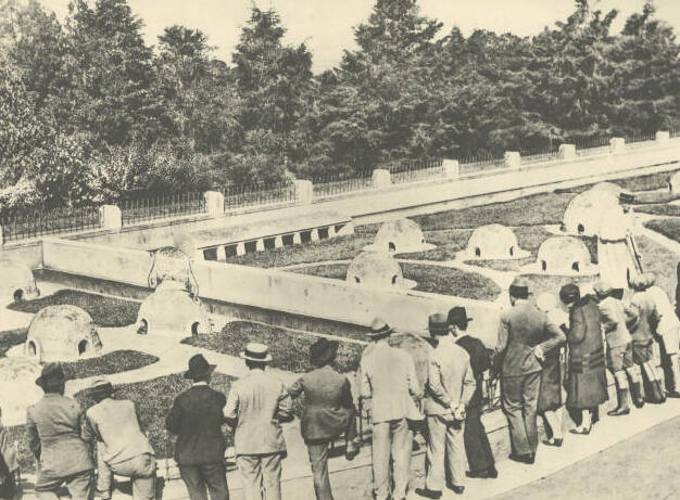 Snake Farm at the Instituto Butantan - São Paulo - SP | Secret World Trip Planner