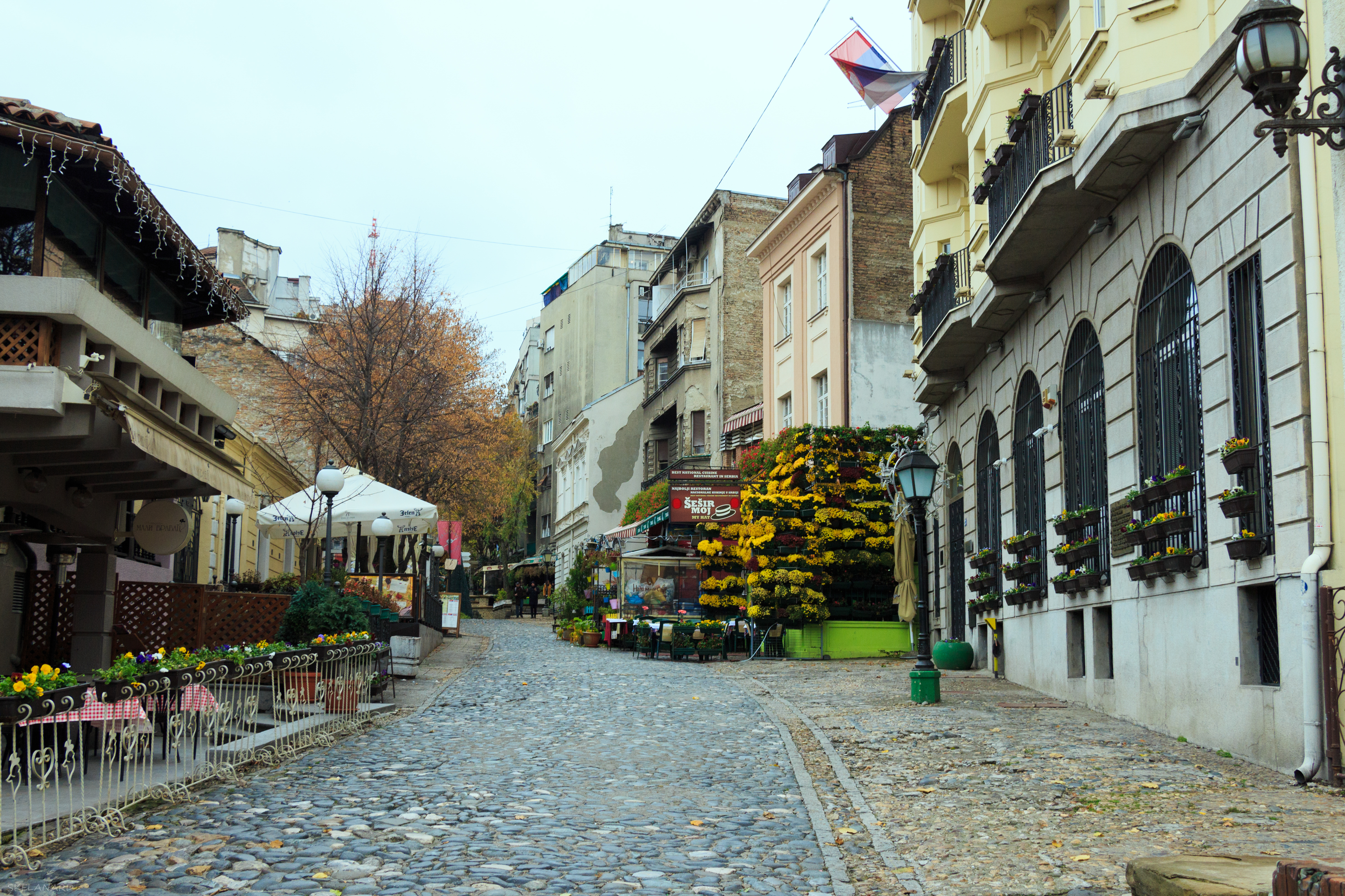 Skadarlija: Belgrade सर्वात लोकप्रिय आजूबाजूचे परिसर - Belgrade | Secret World Trip Planner