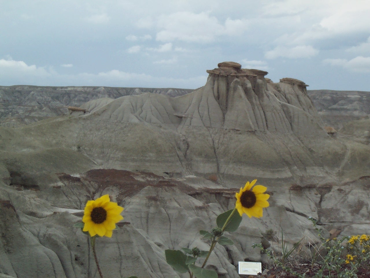 Canada | Dinosaur Provincial Park - Alberta | Secret World Trip Planner