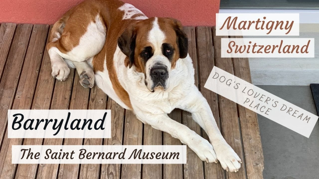 Barryland, το μουσείο σκύλων St. Bernard - Martigny | Secret World Trip Planner
