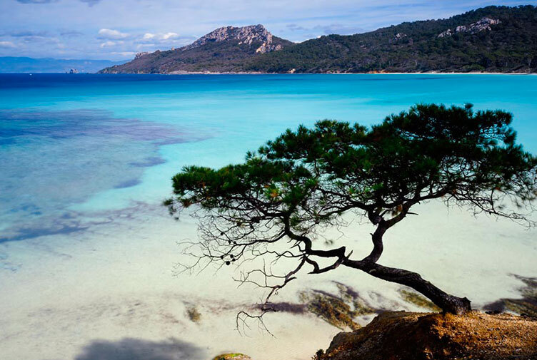 Porquerolles and the arcipelago of Hyères — Hyères