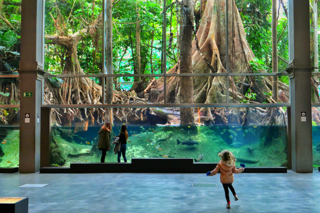 CosmoCaixa Múzeum - Barcelona | Secret World Trip Planner