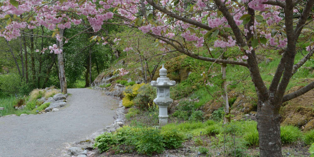 botanisk have i bergen - Skipanesvegen 45 | Secret World Trip Planner