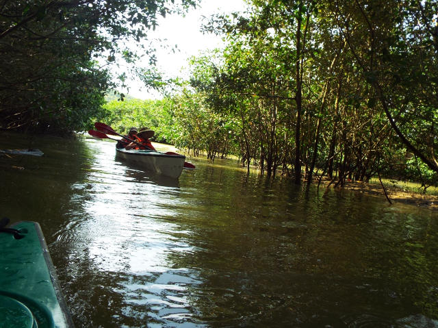 Réserve de mangrove de Isla Corazon - Bahia de Caraquez | Secret World Trip Planner
