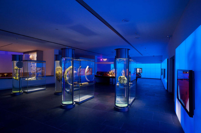 Museu Nacional de Arqueologia Subaquática - Cartagena | Secret World Trip Planner