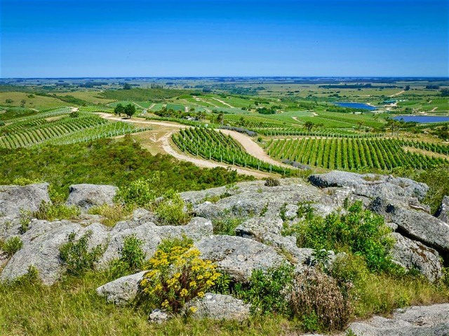Garzon - Garzón | Secret World Trip Planner