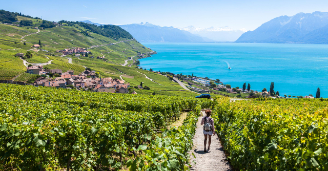 Lavaux, les vinyes suïsses, patrimoni de la UNESCO. - Distretto di Lavaux-Oron | Secret World Trip Planner