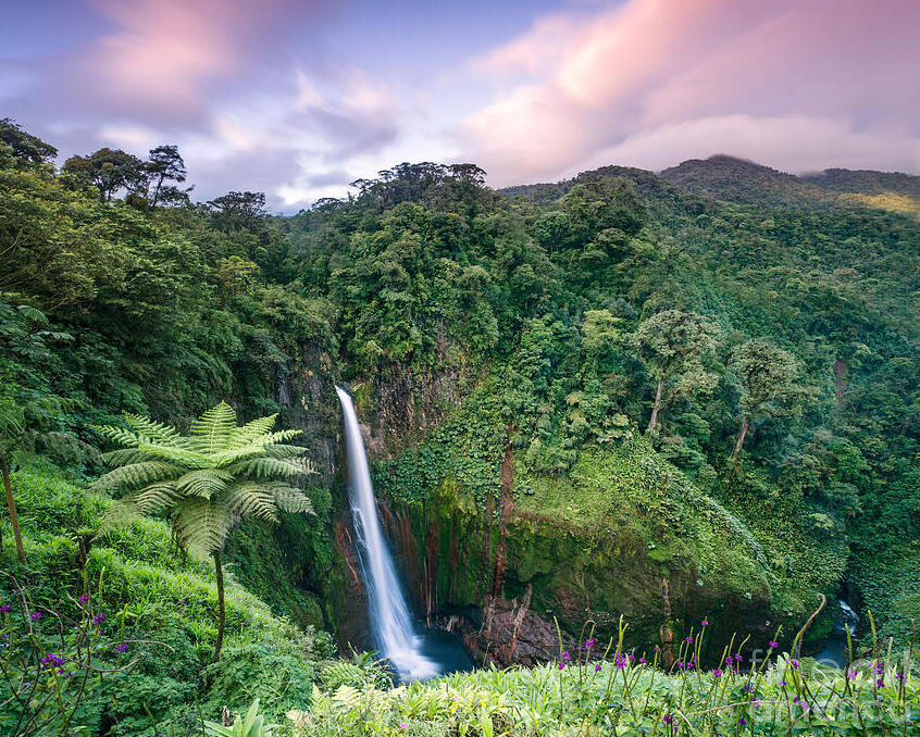 Costa Rica: Catarata Del Toro Waterfall — Provincia di Alajuela