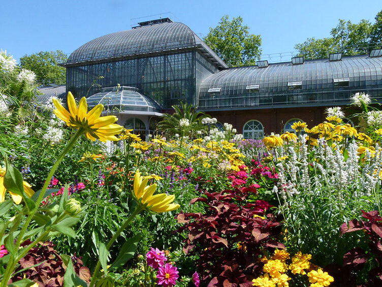 Frankfurt : Palmengarten (Palm Garden)) - Frankfurt am Main | Secret World Trip Planner