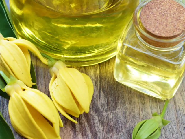 اسانس های یلانگ یلانگ — Nosy Be