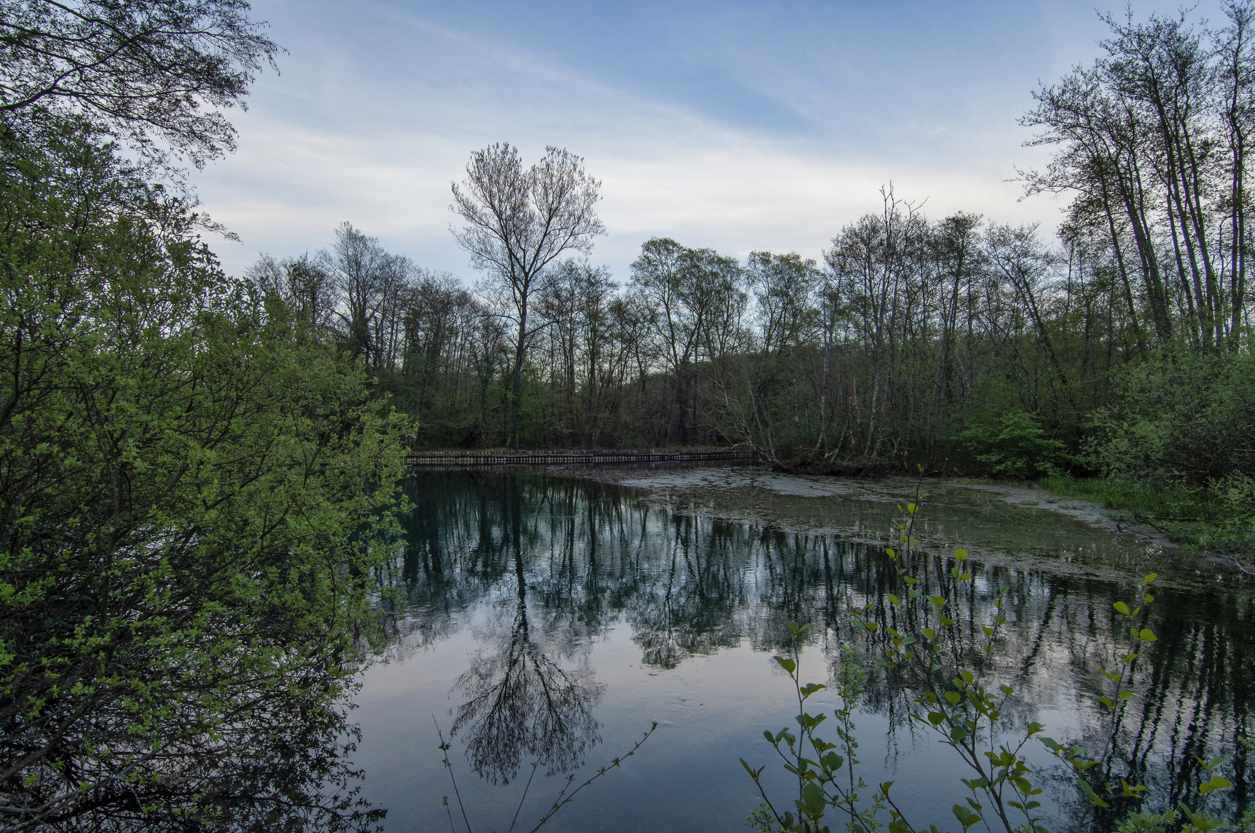 Palù del Livenza - Humus Park - 34 | Secret World Trip Planner