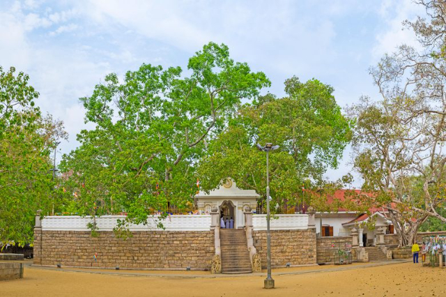 Jaya Sri Maha Bodhi - Distretto di Anuradhapura | Secret World Trip Planner