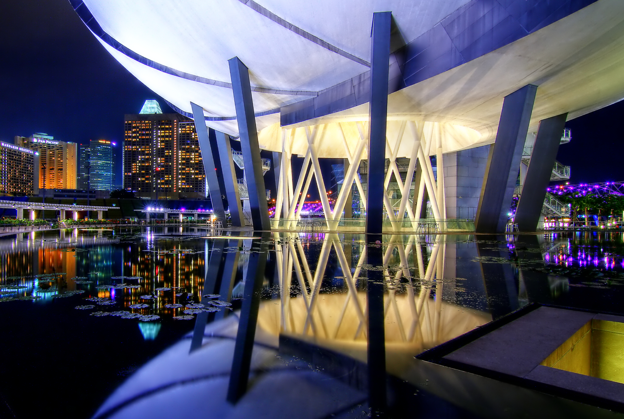 Den Artscience Museum of Singapore - Singapore | Secret World Trip Planner