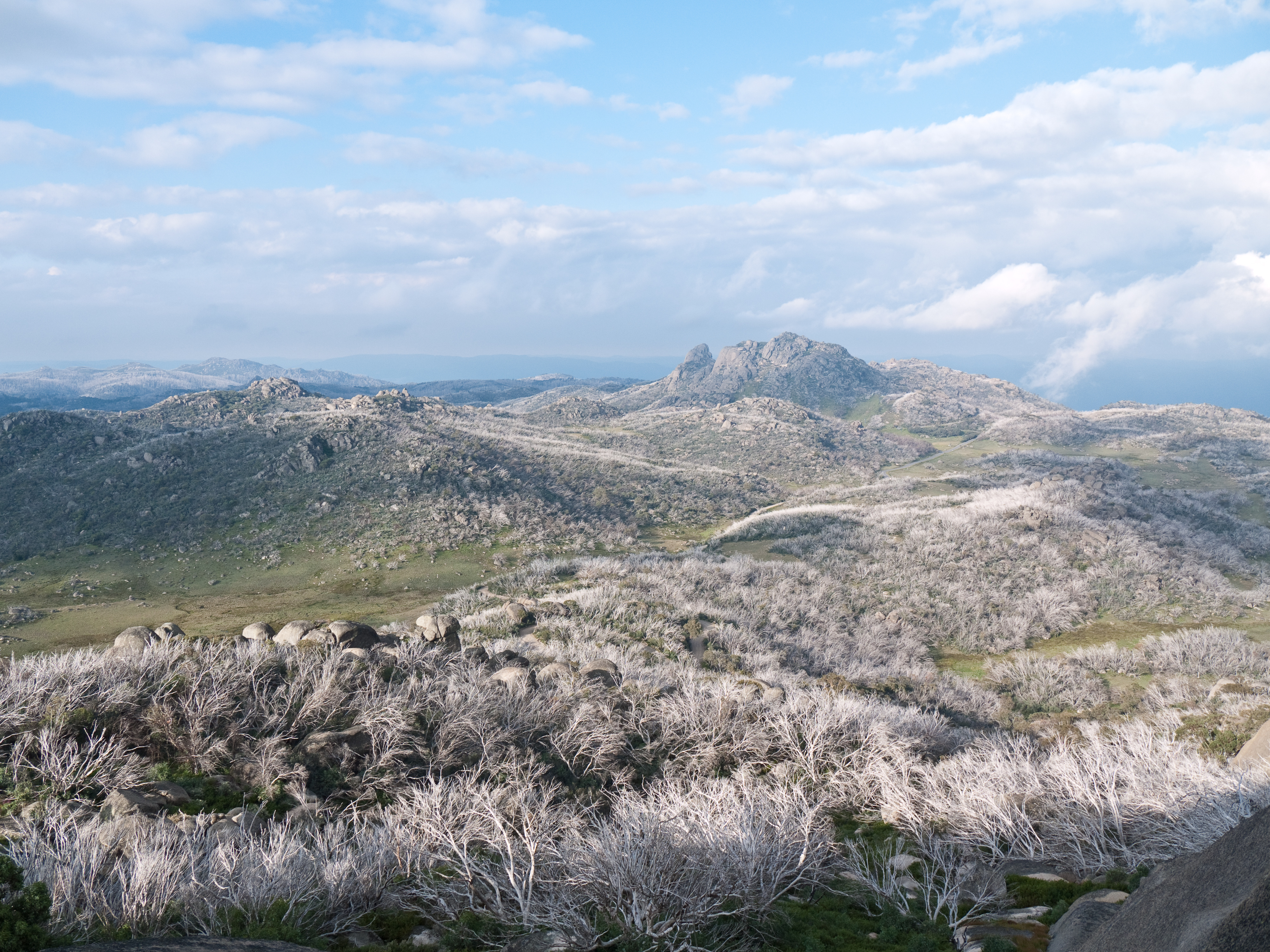 The Cathedral, Mount Buffalo - Mount Buffalo | Secret World Trip Planner