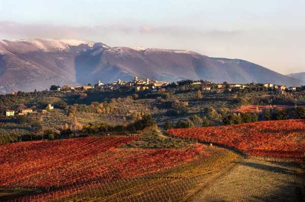 Montefalco Sagrantino - Montefalco | Secret World Trip Planner