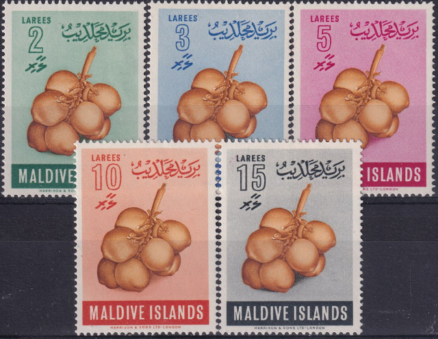 Typical Coconut Products - Malè | Secret World Trip Planner