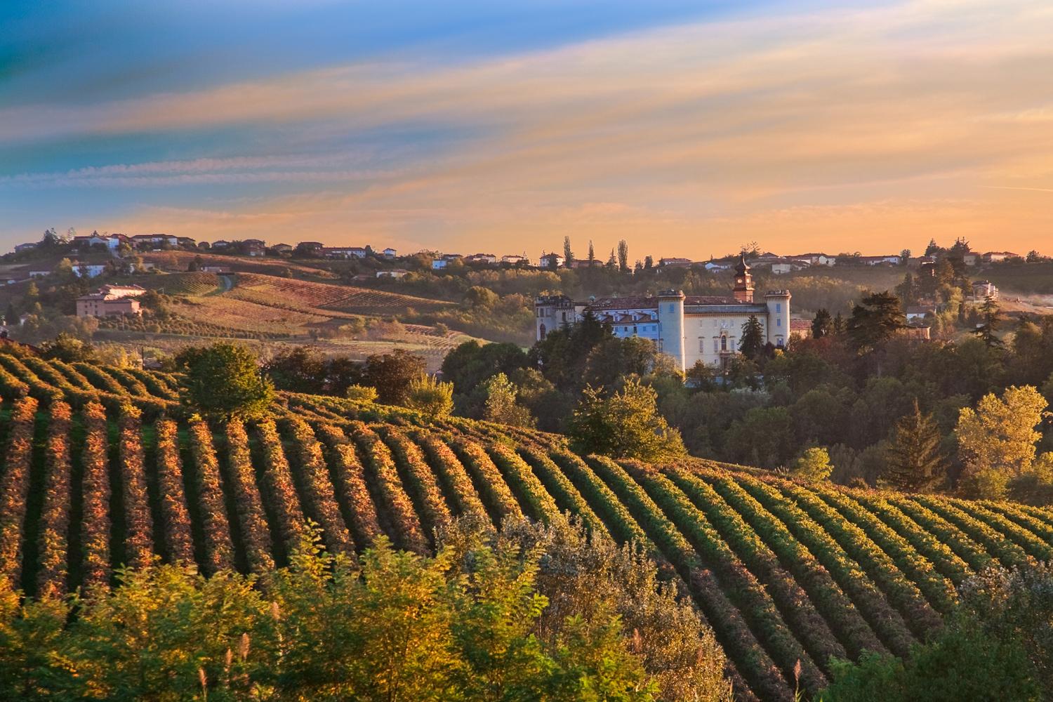 Barolo e o seu viño - Barolo | Secret World Trip Planner