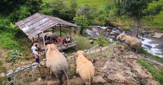 ChangChill Elefanten-Schutzgebiet - Tambon Mae Win | Secret World Trip Planner