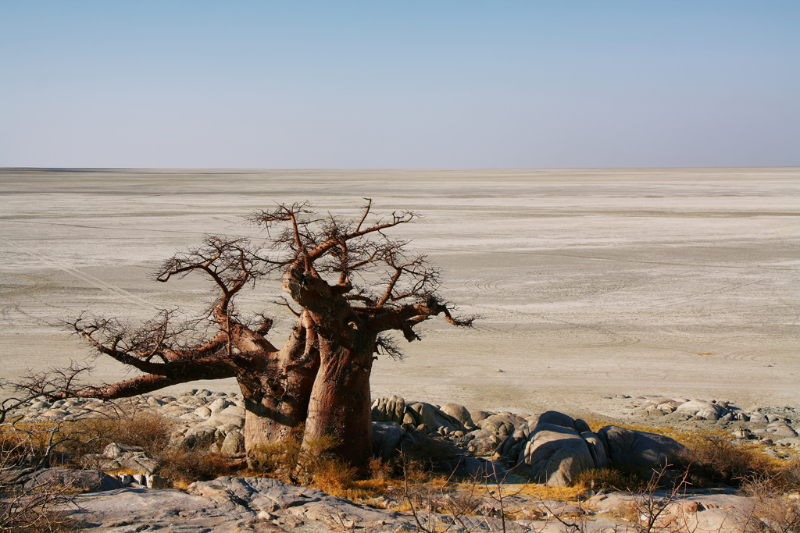 Makgadikgadi Pan, Botswana - Makgadikgadi Pans | Secret World Trip Planner