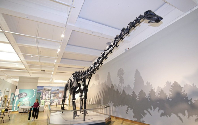 Musée d'Ulster - Botanic Gardens | Secret World Trip Planner