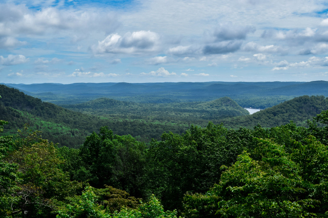 Uwharrie nationalskog — Troy