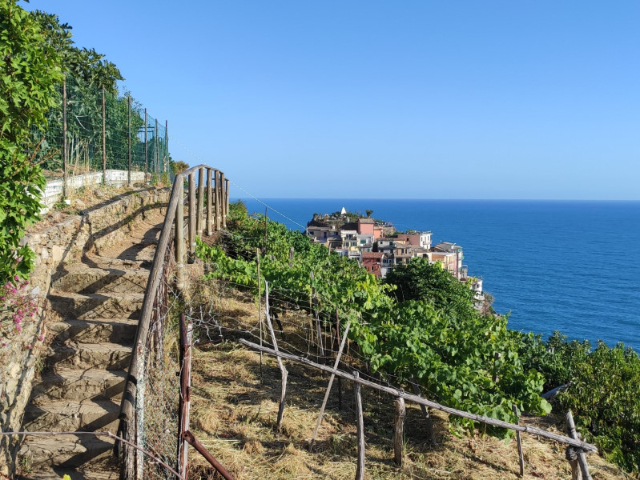 Το Μπλε Μονοπάτι - 19016 Vernazza SP | Secret World Trip Planner