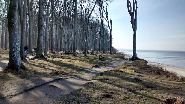 Hutan Hantu Nienhagen - Nienhagen | Secret World Trip Planner