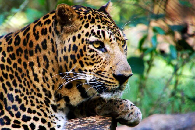 Galway’s Land National Park - නුවරඑළිය | Secret World Trip Planner