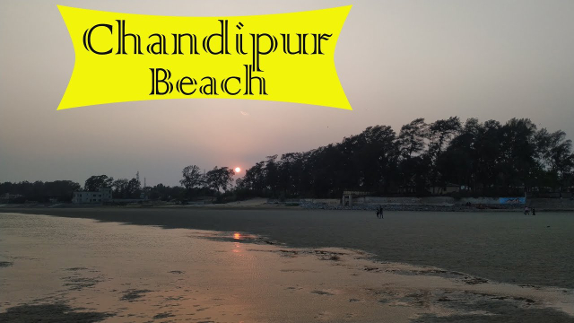 Chandipur Beach: Nature's Hide and Seek Delight i Odisha - Balasore | Secret World Trip Planner