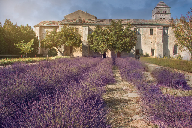 Ван Гог і манастыр Сен-Поль-дэ-Маўзол - Saint-Rémy-de-Provence | Secret World Trip Planner