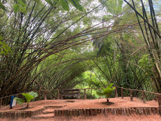 Municipal Park of Maceio - Maceió - AL | Secret World Trip Planner