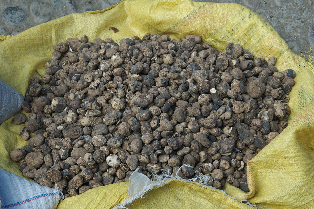 چونو - Arica | Secret World Trip Planner