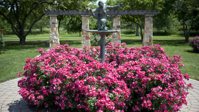 Roseto Malcolm Gross - Allentown | Secret World Trip Planner