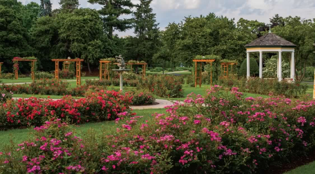 Roseto Malcolm Gross - Allentown | Secret World Trip Planner