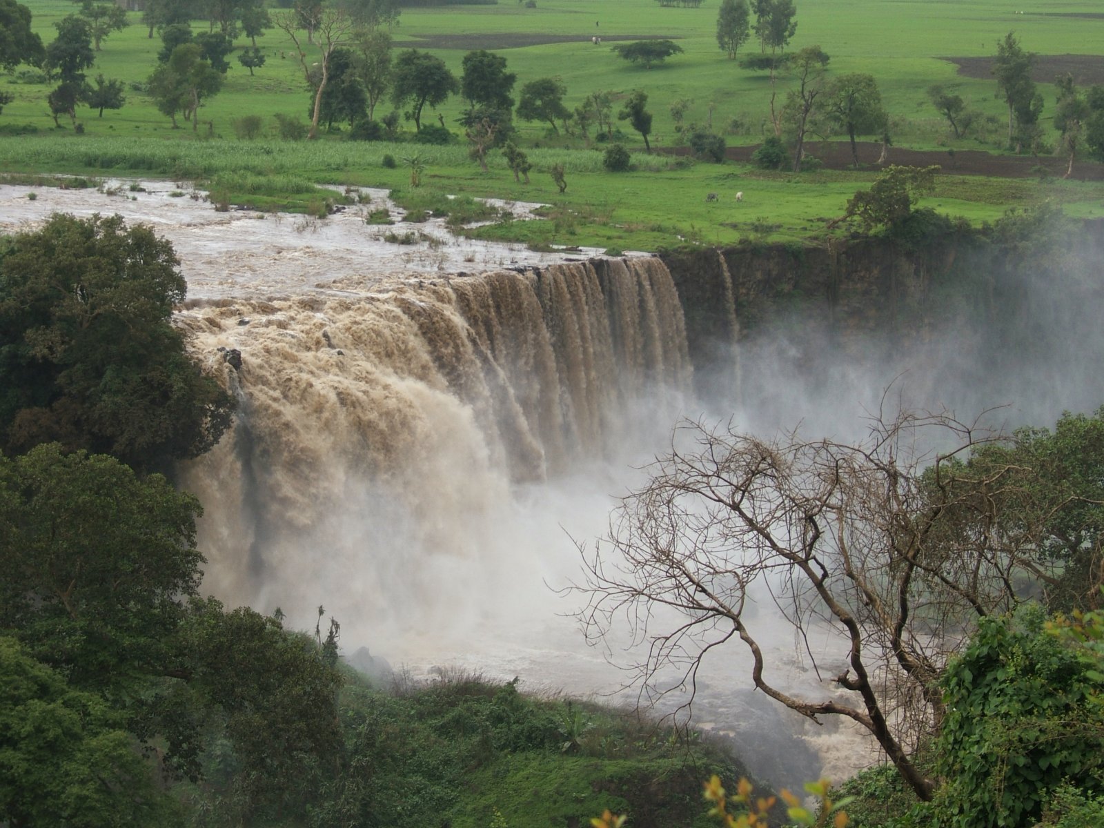 Cascate del Nilo Blu: una cascata sul fiume Nilo Blu - Cascate del Nilo Azzurro | Secret World Trip Planner