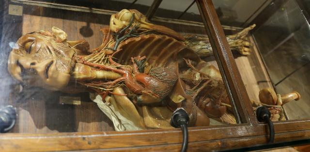 Muzeul de ceară anatomică - Cagliari | Secret World Trip Planner