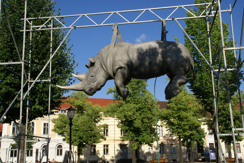 હેંગિંગ ગેંડો - Potsdam | Secret World Trip Planner